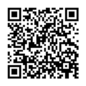 他们要看的并不是要跟着池宇学习如何炼制一品辟谷丹二维码生成