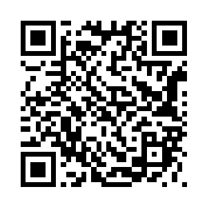 他们议论的是茶叶传到西洋的过程二维码生成