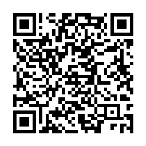 他们记得这鬼道宗宗主娶亲从来不会超过一个月的二维码生成