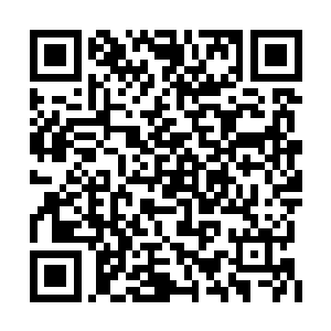 他们说・・・・・・说他们的族长是五属性灵根二维码生成
