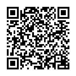 他们说今天晚上准备篝火晚会而且会做地道的斐济美食lovu二维码生成