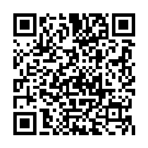 他们说你是打不死的小强……小强是什么东西啊二维码生成