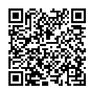 他们趴伏在山岩石上面为同伴提供了一系列的指引二维码生成