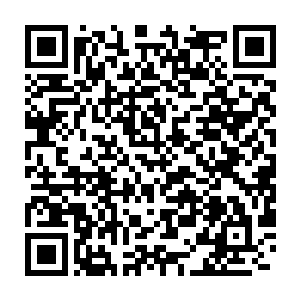 他们跟新近转来燕南大学的那位佐藤家的少爷佐藤光一又是什么关系二维码生成