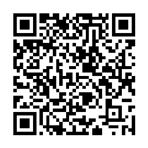 他们还必须要重新经过重重的地下通道才能够离开二维码生成
