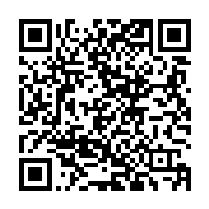 他们还是能够从叶尊的身上感受到那股曾经熟悉的气息二维码生成