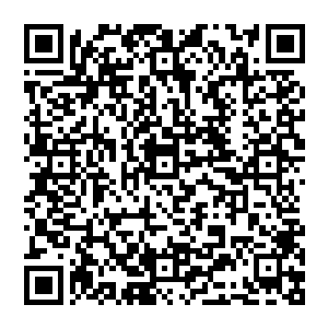 他们这一行人就已经全部来到了武藏流山门之外的那一处铁索处了……在那白云悠悠的笼罩之下二维码生成