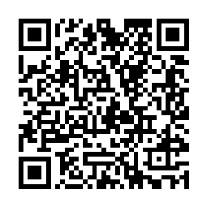 他们这个家族可以说纯粹是借助着动物的力量在战斗二维码生成