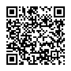 他们这个怪异的组合就这样不紧不慢的走过了好几个村镇二维码生成