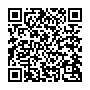 他们这几天看了无数帝国流传过来的连续剧和炫光幻影什么的二维码生成