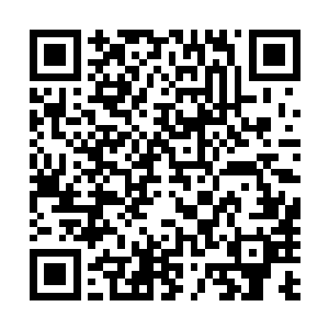 他们这才得以抓住机会突围而出的……虽然损失依然不算小二维码生成