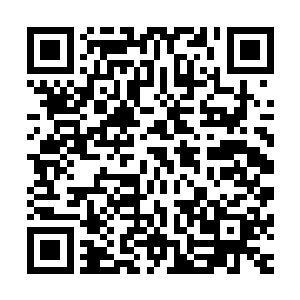 他们这样的低级祭司虽然在一些大型祭祀活动中会见到大祭司二维码生成