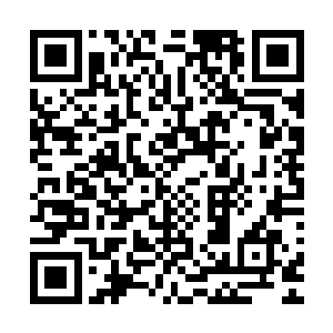 他们这群从小看着南宫二少威风凛凛长大的孩子怎么会不知道二维码生成
