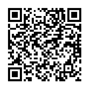 他们这辆奥迪车眼看着就要硬生生与对面的大货车撞上了二维码生成