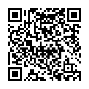 他们都意识到这位一直带领着他们前进的蓝静很有问题二维码生成