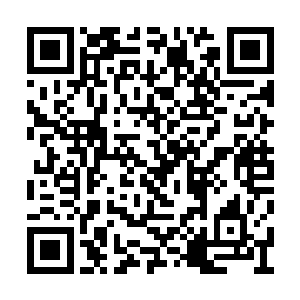 他们都认为自己现在实力已经得到了很大的提升二维码生成