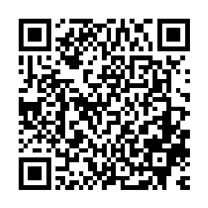 他们需要进一步调查统计平川县养殖场每一个养殖户的经济损失二维码生成