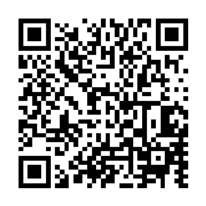 他们音城隐瞒了二十多年的秘密终于暴露在天下众生的面前二维码生成