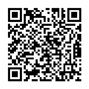 他仿佛看到了一匹巨大无比能够撑起天地的巨大蛮象仰天嘶鸣二维码生成