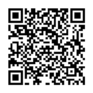 他会愿意看到自己的妻子为已经死去的自己受苦吗二维码生成