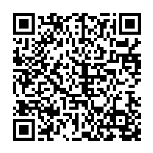 他会立即将它给这只裂风狼王喂下去的……好不容易才弄到这样实力强大的魂奴二维码生成