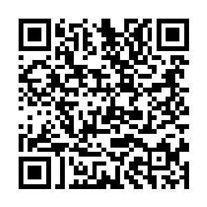他会经常的帮我邀请一些著名的驯兽师帮我来表演的二维码生成