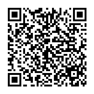他估计今儿个下午附属医院的病房就算是想要找到个护士都困难了二维码生成