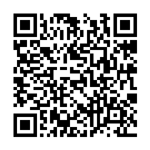 他似乎还在和这些堪塔斯幼崽们介绍着自家的食物二维码生成