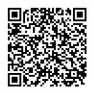 他体内的血液刚刚和从金丝银线蛇血液中提炼出来的抗毒因子融合二维码生成
