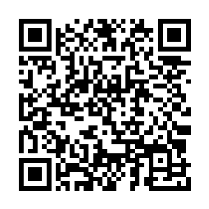 他作年轻气盛的新领主对这种保守方案有些不满二维码生成