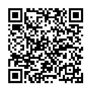 他侵入到张潇晗识海内的神识已经化作了流光接着被吸收二维码生成