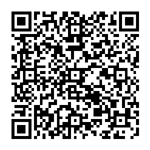 他便已经射出了一道相当狂暴的剑气了……依然是袭击了距离他最近的那一只僵尸二维码生成