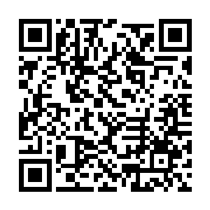 他俊逸的外表和不凡的气质以及女国王出众的外貌二维码生成