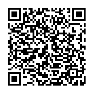 他倒是没想到自己竟然会因为那件事情莫名其妙的得罪了一名实力强大的圣王二维码生成