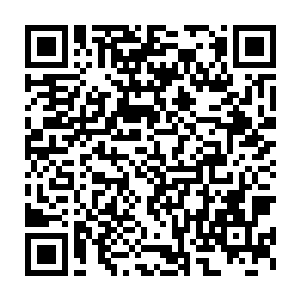 他倒是觉得感受一下猎物被看准之后动弹不得却又惊慌失措的样子二维码生成