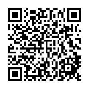 他做梦都想杀到京城去把凤羽珩和七九两位皇子给一刀剁了二维码生成