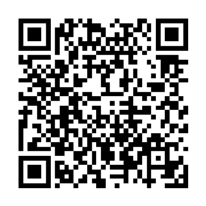 他全神贯注到甚至放弃了操控那些数量庞多的海鸟二维码生成