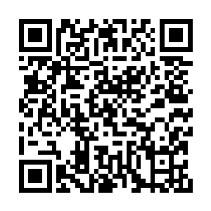 他其实是完全可以给自己一个类似风格的剧本的二维码生成