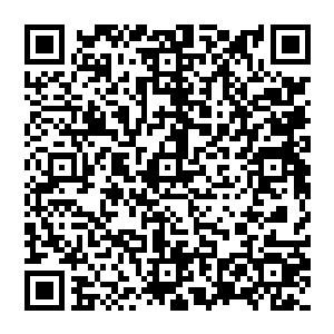 他再次动了动嘴巴 有些苦涩 但终究发出了一丁点儿的声音 回荡在黑暗的虚空中 显得有些恐怖二维码生成