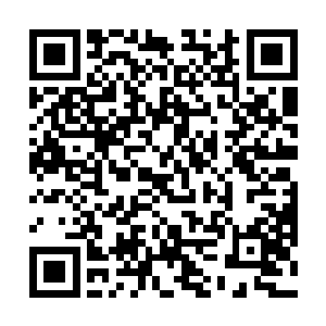 他冲出树林就遇到了那十几名守护在树林烈焰火谷族人二维码生成