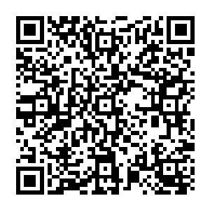 他决不允许眼看着光明圣师工会的一名圣王就这样因为犯了一个小小的错误而陨落于此二维码生成