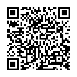 他凭借自己巨大的身躯短时间内是不会受这些力量反噬的二维码生成