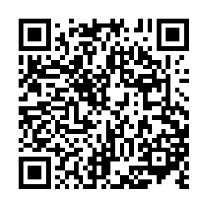 他则开始在洞口的四周飞快的布置了一百多道阵法二维码生成