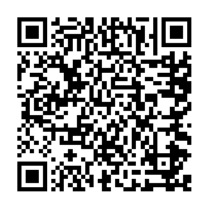他利用幽冥万妖幡所凝聚出来的巨妖竟然就这么直接被那金甲巨神给拍成了碎片二维码生成