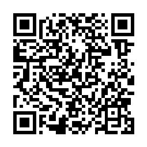 他却是看到青年已经捂着无血但是断筋脉的手腕惊恐不已二维码生成