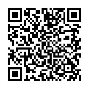 他压根就不敢在杨庆面前玩这种太过微妙的把戏二维码生成