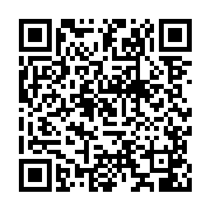 他原本的道人面庞也瞬间变化成了一个狰狞可怕二维码生成
