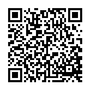 他发现自己还是低估了在千幻梦境中的经历对自己神魂上的影响二维码生成