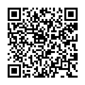 他只是笑嘻嘻的注视着狂冲出宴会厅门口的那名保镖二维码生成