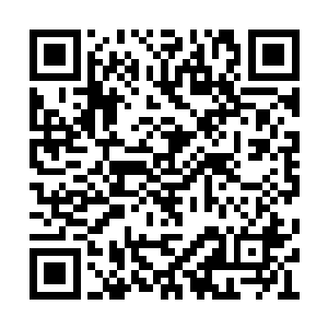他只有在和起舞独处的时候才会自然而然地说话二维码生成
